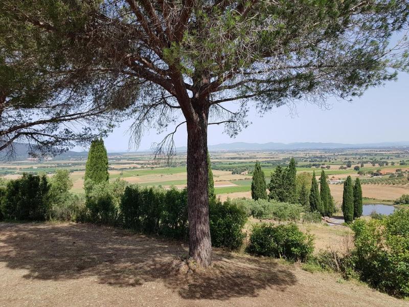 Poggio Alto Agrioturismo Villa Grosseto Exterior foto